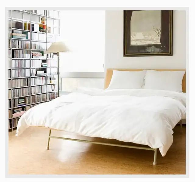 PATRICIAS CLEANING SERVICES (613) 857-8526 - 15  YRS. EXP.