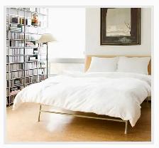 PATRICIAS CLEANING SERVICES (613) 857-8526 - 15  YRS. EXP.