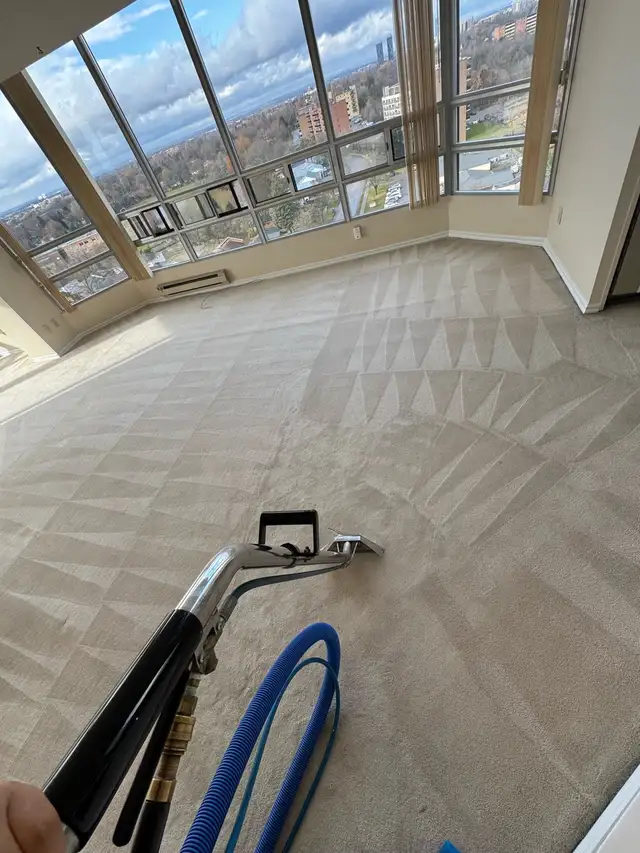 carpet, couch, sofa and mattresses cleaning - Photo 8