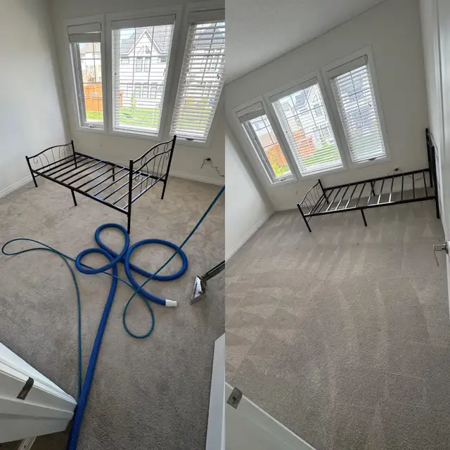 carpet, couch, sofa and mattresses cleaning - Photo 10