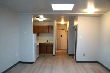 Bachelor/Studio for Rent