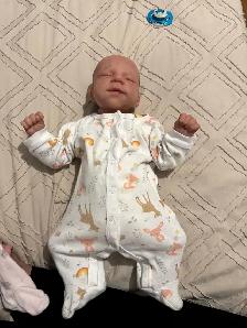 Reborn Baby - Photo 6