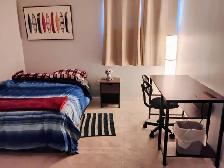 Looking for a stellar housemate