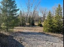 Lot for Sale - Photo 6