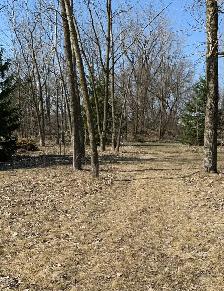 Lot for Sale - Photo 9