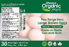 Graphic Designer 》Logos, BCards, Vector. Labels, WebD, Branding - Photo 2