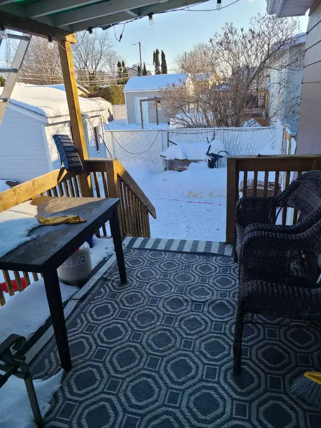 garderie pour petit chien Delson