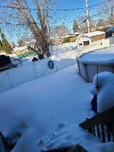 garderie pour petit chien Delson - Photo 2