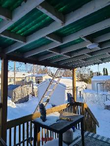 garderie pour petit chien Delson - Photo 3