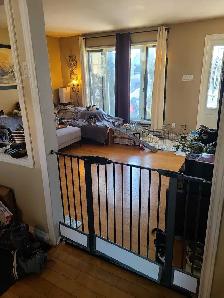 garderie pour petit chien Delson - Photo 4