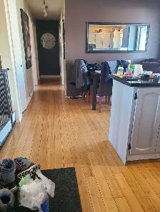 garderie pour petit chien Delson - Photo 5