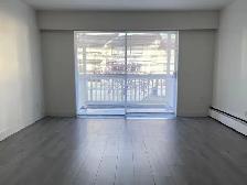 Mar1/1 Br / Nicely Updated/750sf / Balcony / Includes Parking - Photo 5