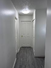 Mar1/1 Br / Nicely Updated/750sf / Balcony / Includes Parking - Photo 9