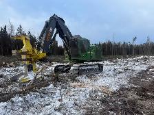 experienced Feller Buncher Operator