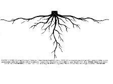 Paint and Construction