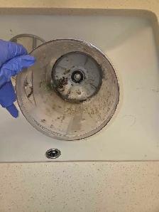 Premium Themed Cleaning Services – Sparkle with a Twist! ✨ - Photo 4