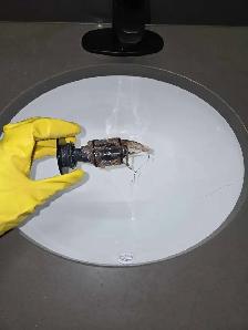 Premium Themed Cleaning Services – Sparkle with a Twist! ✨ - Photo 8