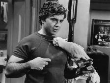 WHEN THE HUSBAND IS THE SUSPECT (F. Lee Bailey) - Photo 7