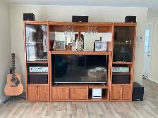 TV ENTERTAINMENT  UNIT