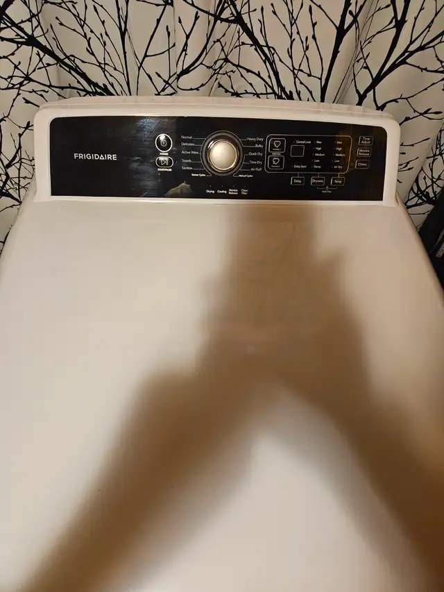 Secheuse presque neuve fonctionne tres bien