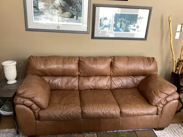 Living Room Leather Couch
