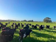 Looking for pasture/ hay ground to rent.