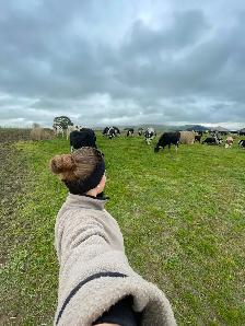 Looking for pasture/ hay ground to rent. - Photo 3