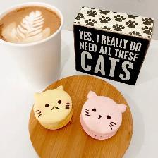 Cat Cafe on Whyte is Hiring! - Photo 2