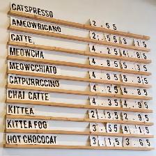 Cat Cafe on Whyte is Hiring! - Photo 4