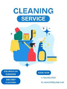 Cleaning Services