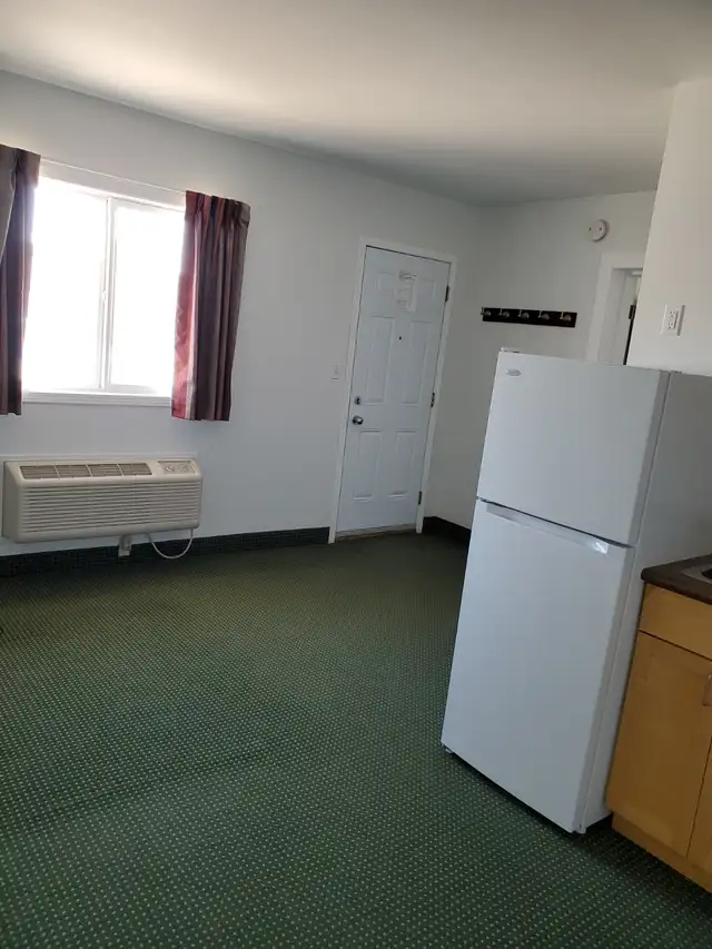 Apartment for rent in Carman Mb - Photo 3