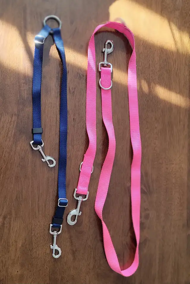 Coupleur permet de joindre 2 chiens sur la même laisse