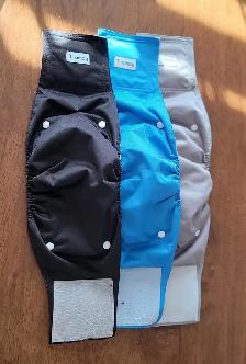 Couche chien mâle Large