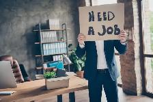 Looking for Full-time Job (Not Hiring)