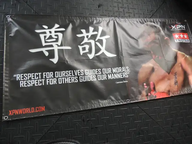 G.S.P. toile georges st-pierre - Photo 2