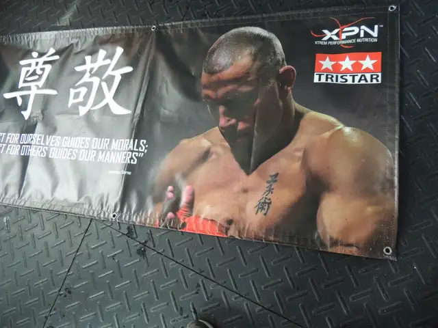 G.S.P. toile georges st-pierre - Photo 3