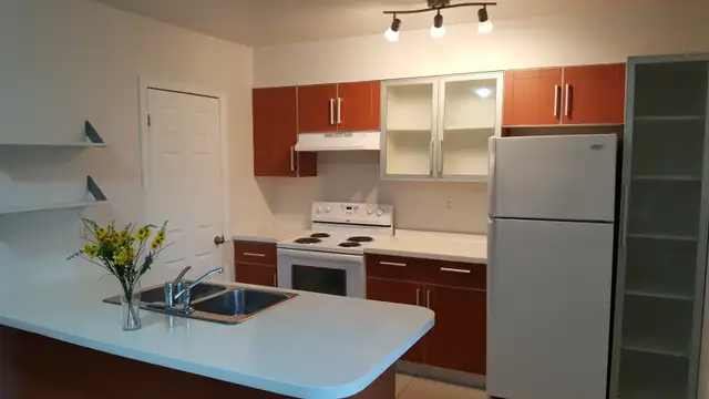 Walkerville 2 bedroom apartment available contact 519-566-8228 - Photo 12