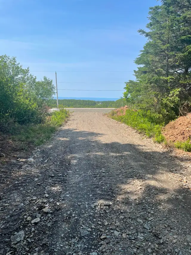 Beautiful property to develop in Annapolis Valley, NS - Photo 4