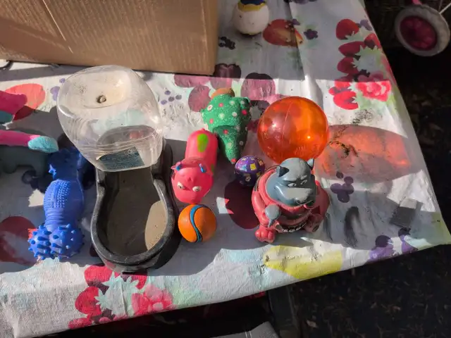 Dog Toys