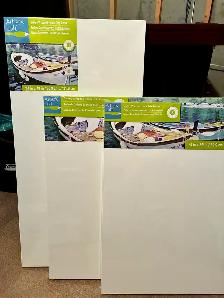 3 NEW LARGE CANVASES $30-$40 each  ($100 FOR ALL)