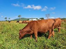 Farm Equipment & Livestock Technician — $25–$35/hour - Photo 2