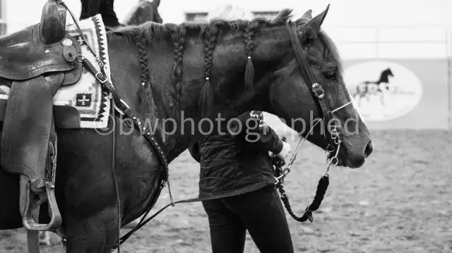 photography - Photo 2