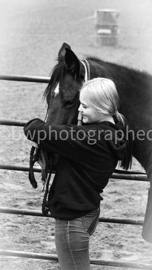 photography - Photo 3