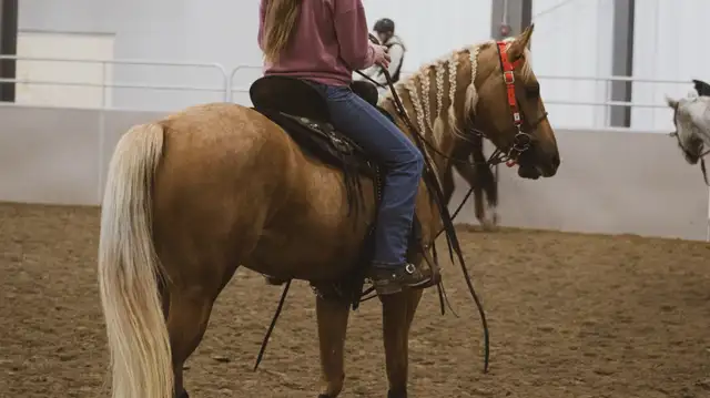 photography - Photo 5