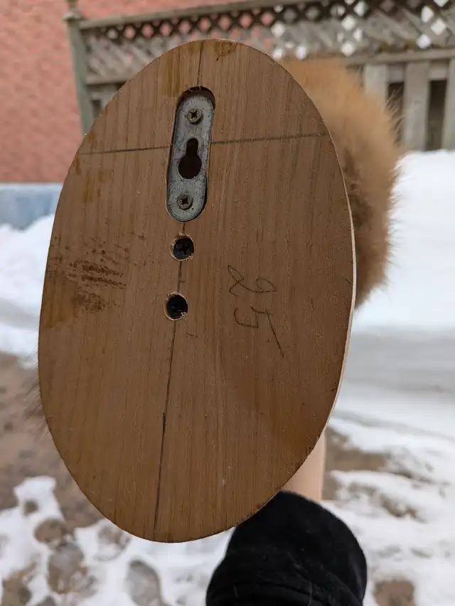 Pine marten on branch taxidermy - Photo 4