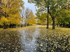 Part-time Domestic Help - Photo 4