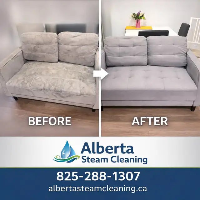 professional carpet and upholstery steam cleaning