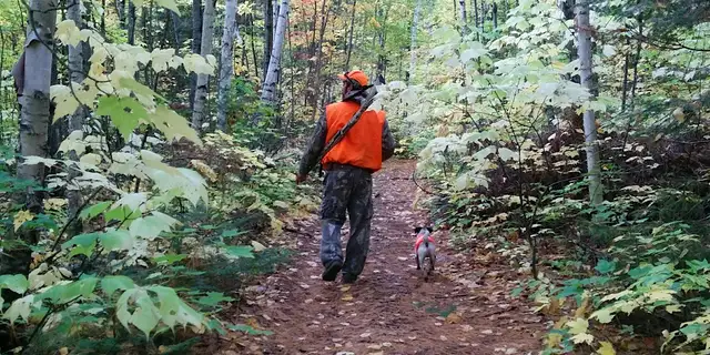 Firearms Safety Training / Hunter Education