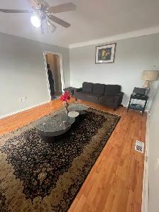 FULLY RENOVATED AND FURNISHED HOUSE FOR RENT/LEASE