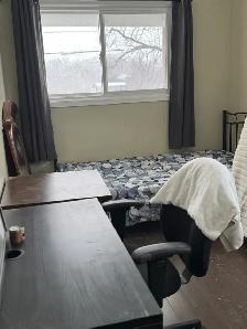 FULLY RENOVATED AND FURNISHED HOUSE FOR RENT/LEASE - Photo 4